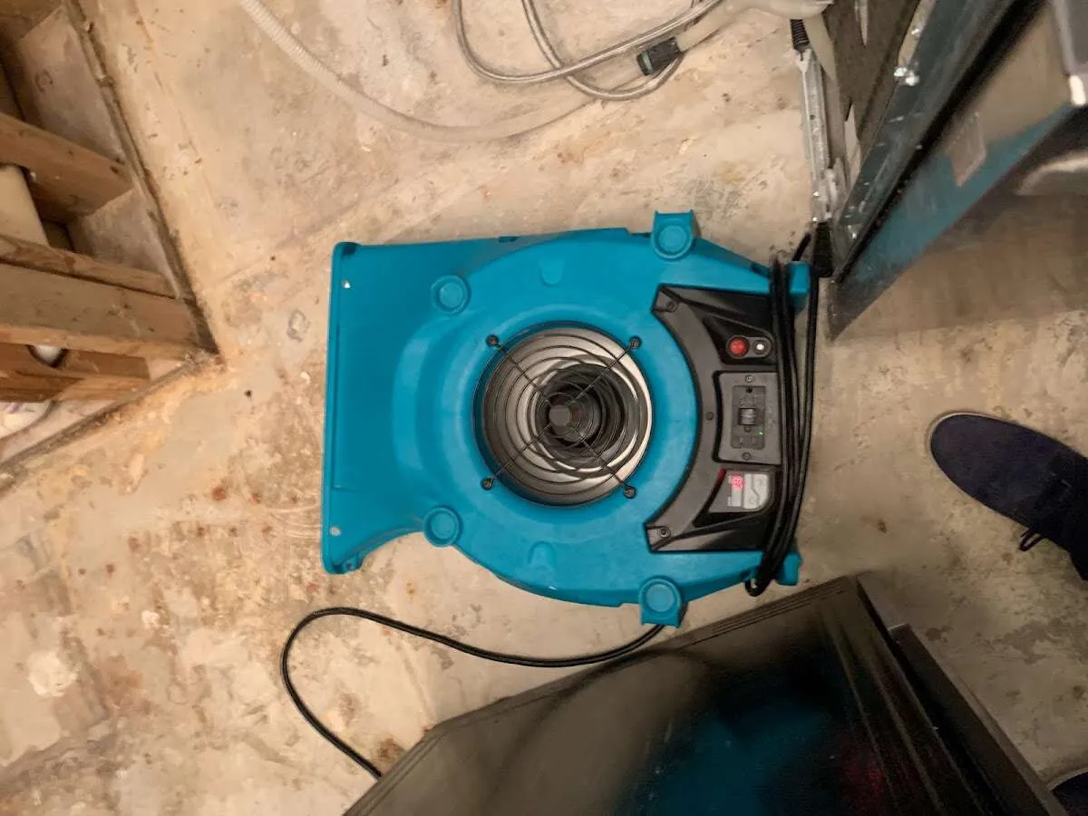 Air mover drying equipment for Mold Remediation & Removal in Milton