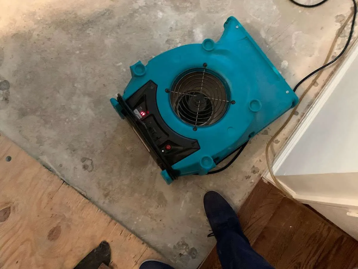 Air mover drying subfloor during Commercial Water Damage Restoration in Milton